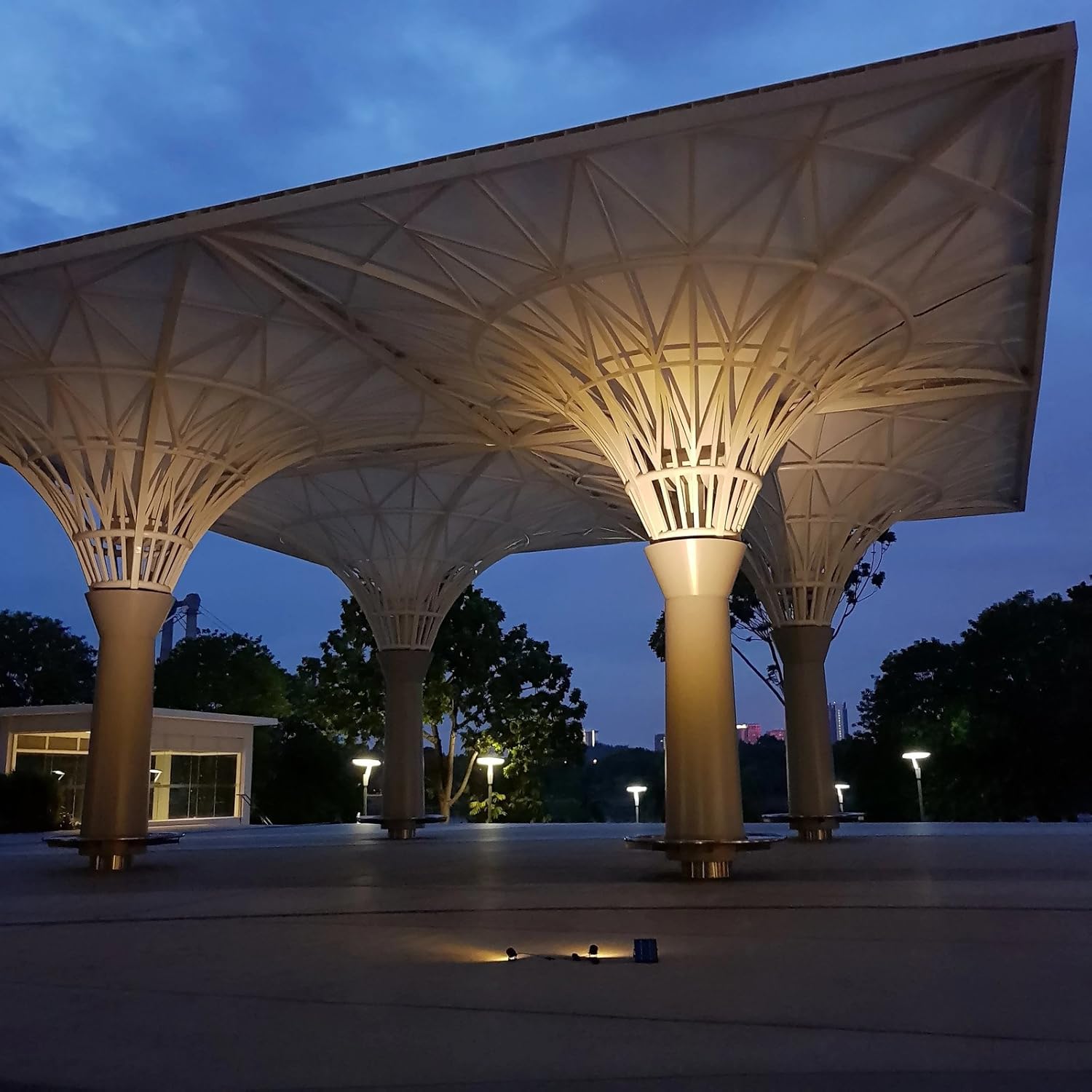 Legacy Mini 50X Twin Solar-Powered Spot Lights LED Spotlight Flag Pole Light (Warm White LED) for Outdoor Garden Yard Landscape Uplight Downlight, Waterproof, Black Finish