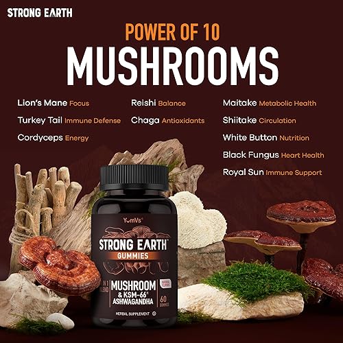 Miniatura 4 de Gomitas de hongos con Ashwagandha - Sin gelatina, vegetariano - Mezcla de suplemento funcional 11 en 1 con melena de león, cordyceps, reishi, chaga,