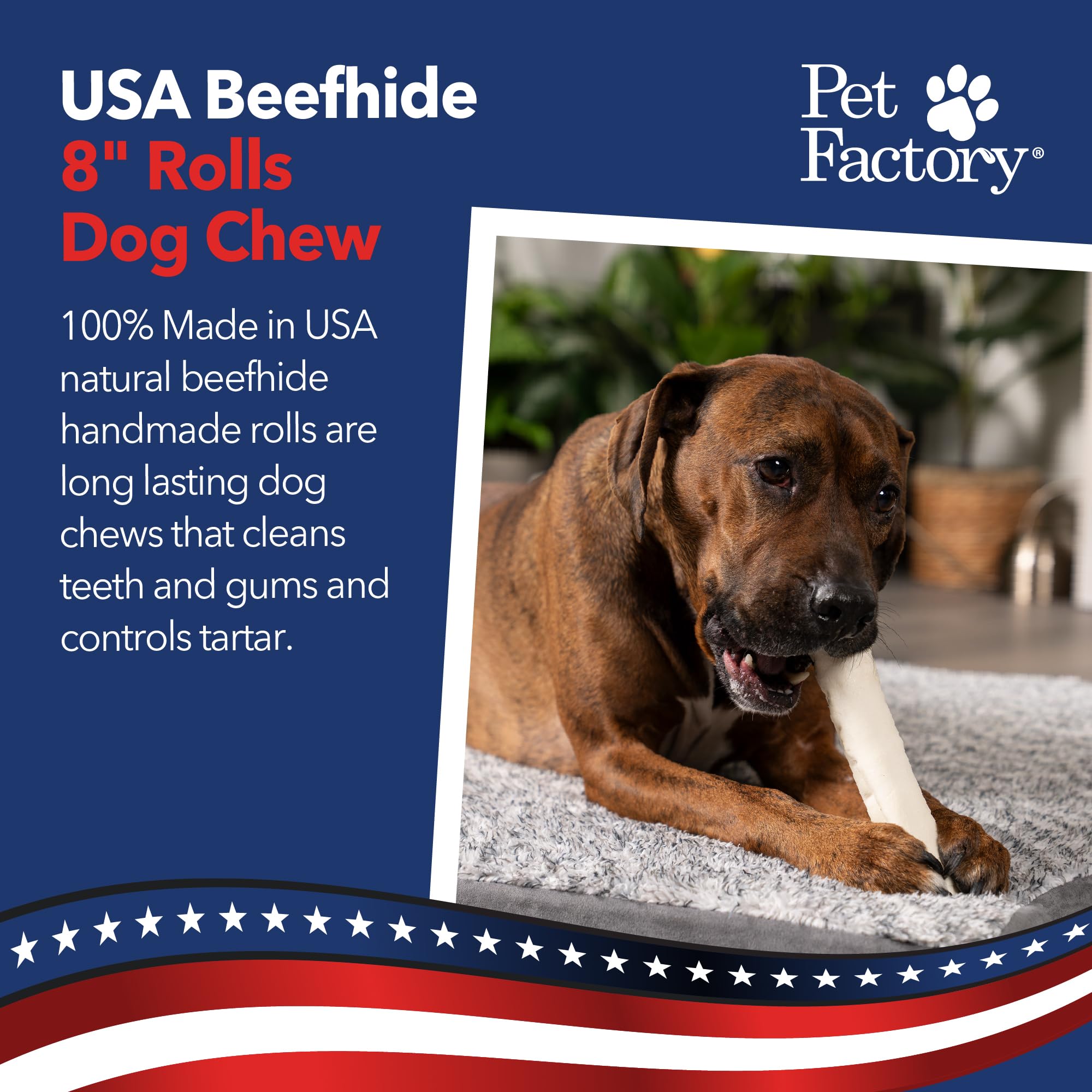 Pet Factory 100% Made in USA Beefhide - Rollos para Masticar para Perros, 20 cm, Aroma Natural, 10 Unidades/1 Paquete
