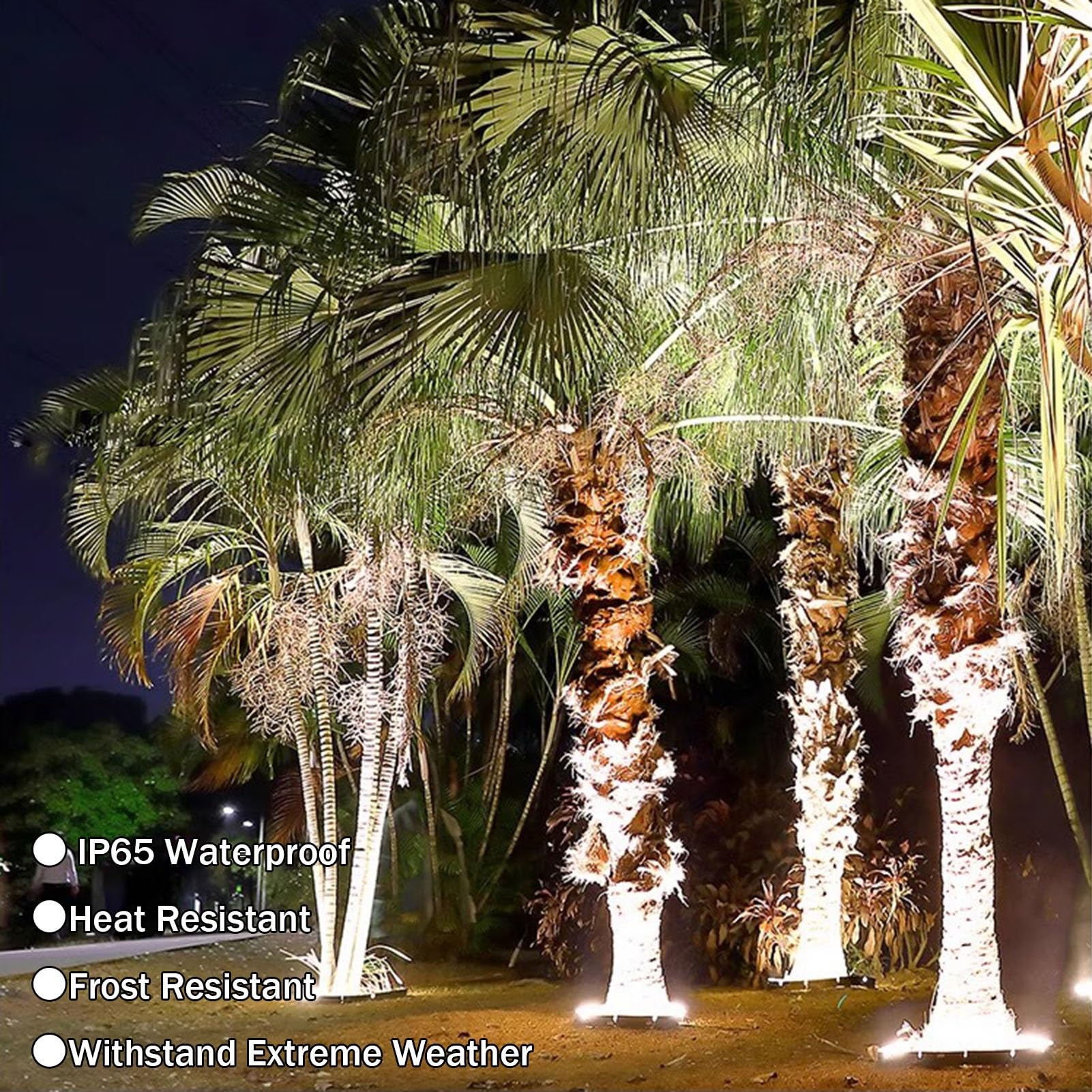 Luce per albero con anello di palma per esterni DC24V