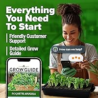 Vista 18 de HOME GROWN Semillas de diente de león para plantar 600 semillas de hierbas medicinales tradicionales (~ 0.01 oz) sin OMG cultivan hojas y flores