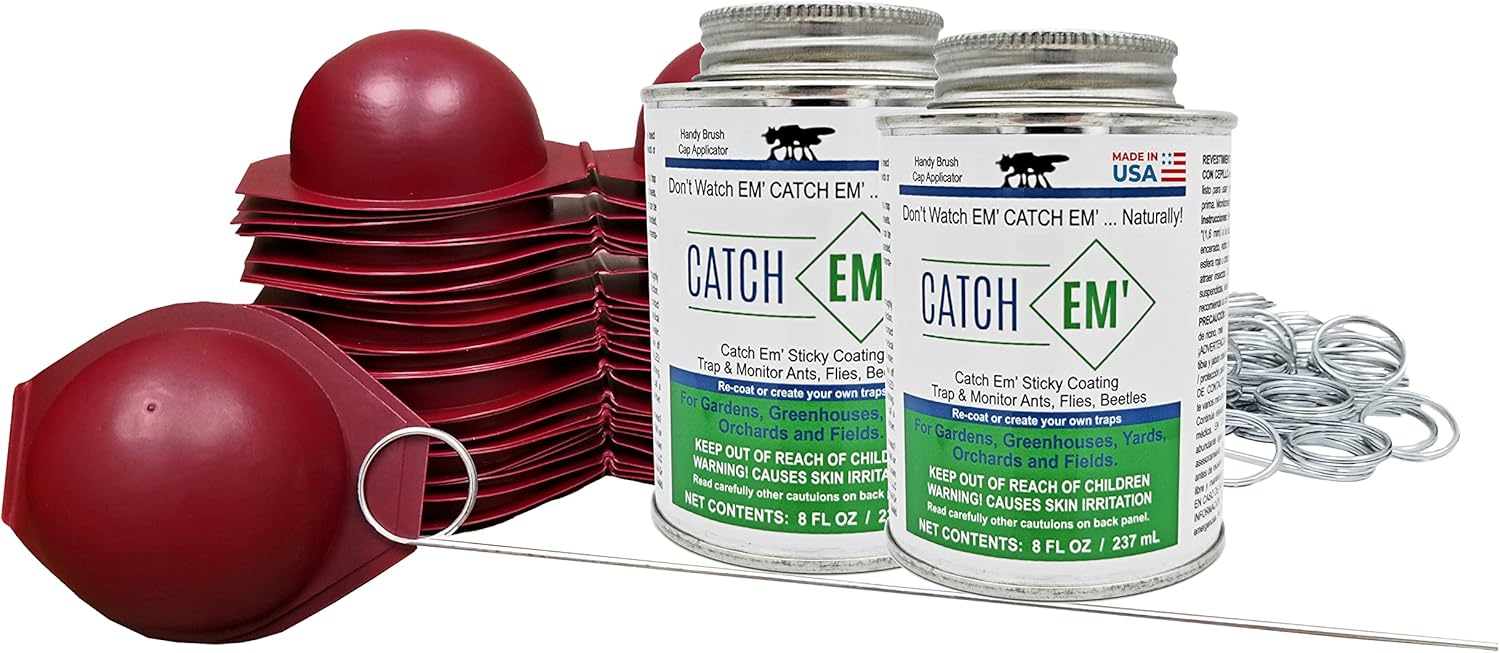Bug Ball Apple Maggot Trap Deluxe Kit (Pack of 25)