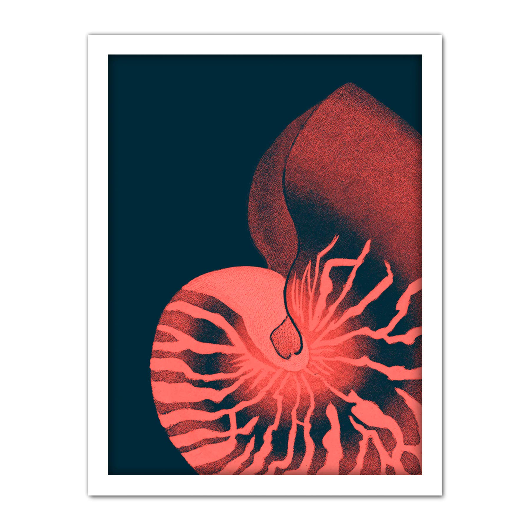 Wee Blue Coo Pink Seashell Nautilus Artwork Framed Wall Art Print 18X24 Inch