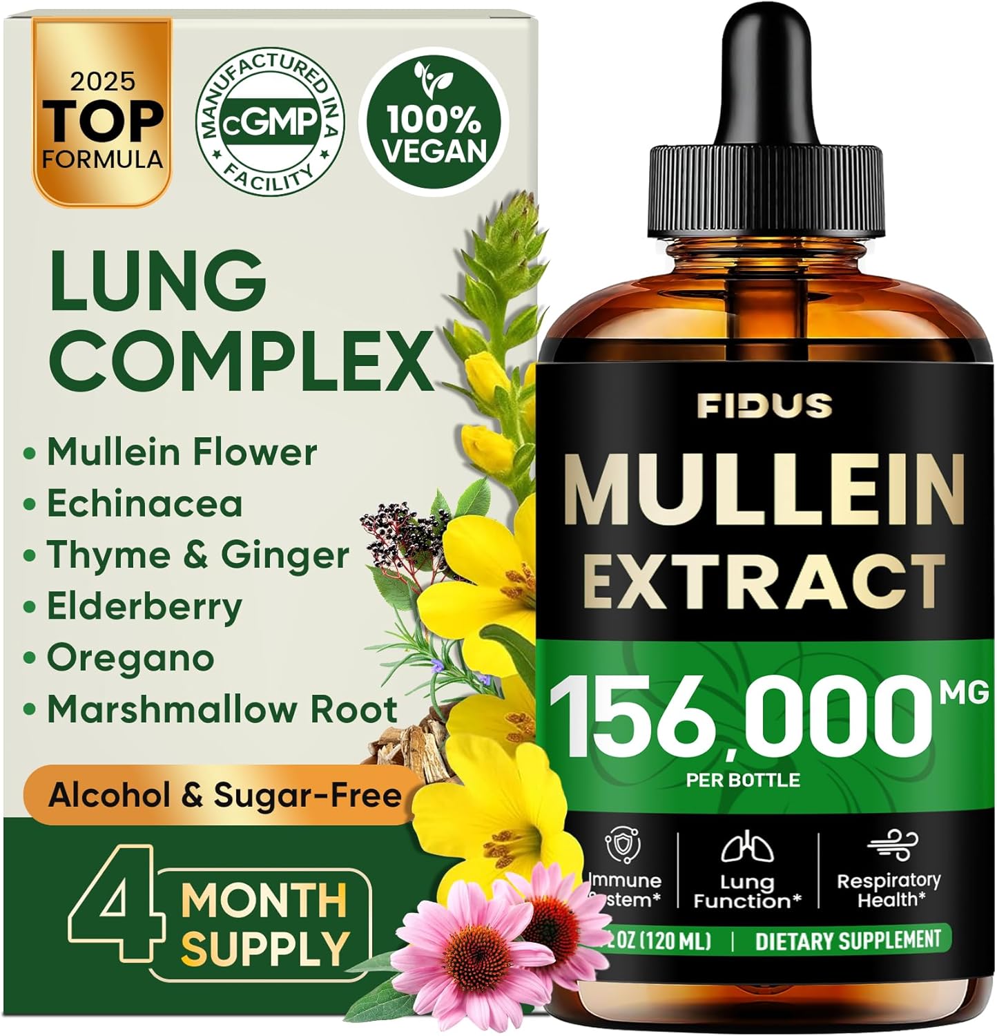Fidus Mullein Drops for Lungs & Lymphatic Drainage – Echinacea | Oregano | Ginger | Elderberry | Marshmallow Root ｜Thyme – Lung Detox for Smokers, Respiratory & Immune Support, Non-GMO，4 fl oz