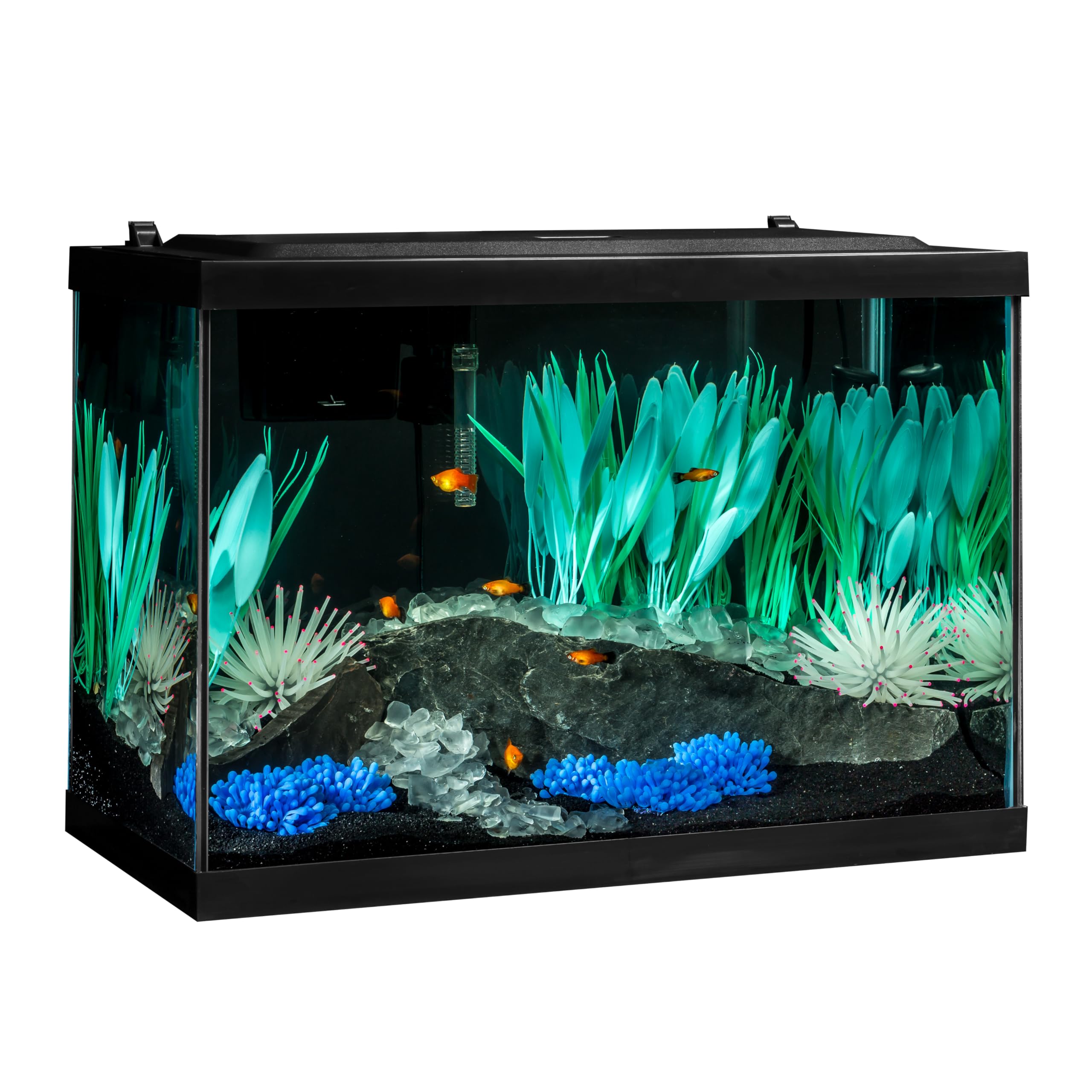 Tetra ColorFusion 20 Gal