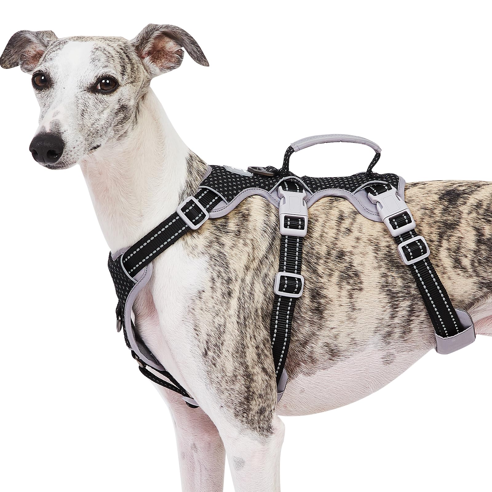 Huntboo Escape Proof Dog Harness, No Pull Reflective Harness with Lift Handle, Adjustable Pet Vest with Front and Back Leash Clips for Small Medium Large Dogs Walking Hiking Training (Black,L)