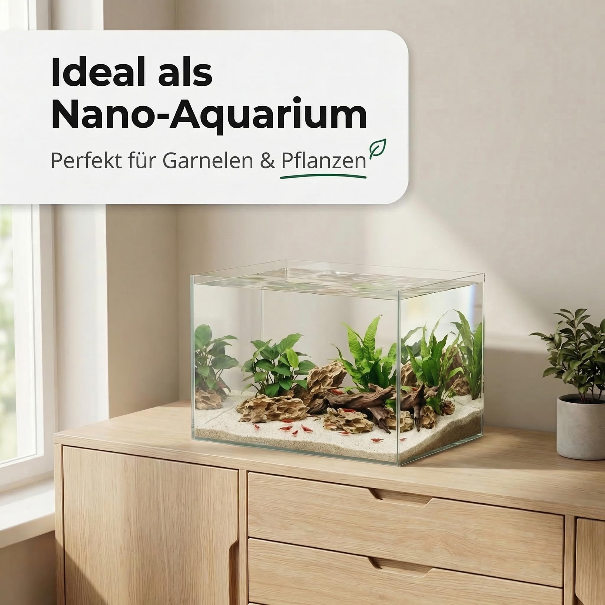 Pondlife Aquarium 30x20x20 cm, 12 Liter Glasbecken ohne Rahmen, 4 mm Floatglas, geschliffene Kanten, Süß- und Salzwasser geeignet, mit Unterlage