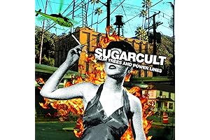 Palm Trees and Power Lines