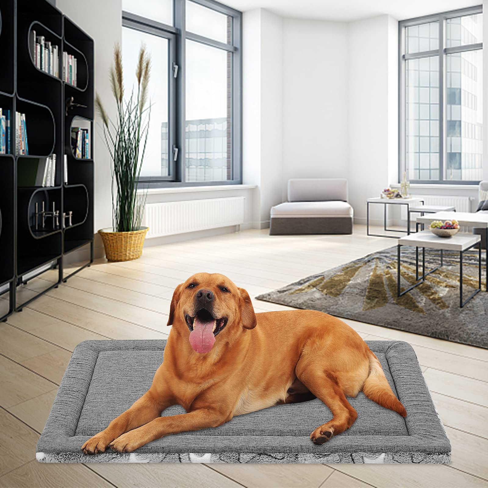 Nobleza Cuscino Cane, Cuscini Per Cani Con Lavabile Rimovibile, Cuccia - Foto 10