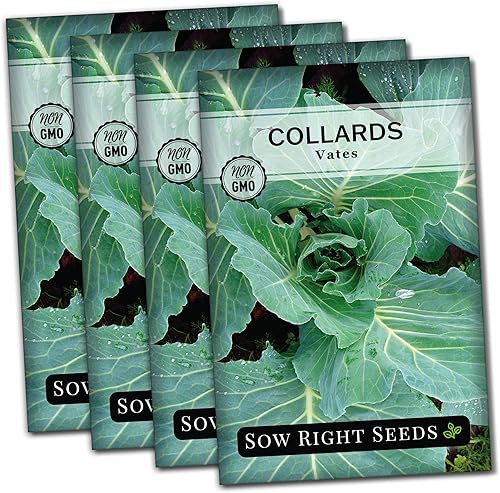 Sow Right Seeds - Semillas de col de Vates para plantar - Paquete de reliquia sin OMG con instrucciones para plantar un huerto casero - Verduras del