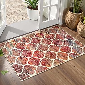 Lahome Moroccan Kitchen Rugs -2x3 Washable Rug Small Indoor Door Mat Throw Rug Non-Slip Front Door Mat Indoor Entrance Mats for Entryway,Red Colorful Rugs for Bedroom Meline（2x3, California