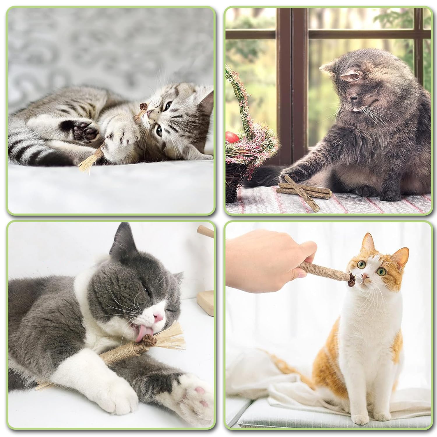 21PCS Catnip Toys for Cats Kitten Silvervine Sticks, Catnip Matatabi Sticks - Image 2