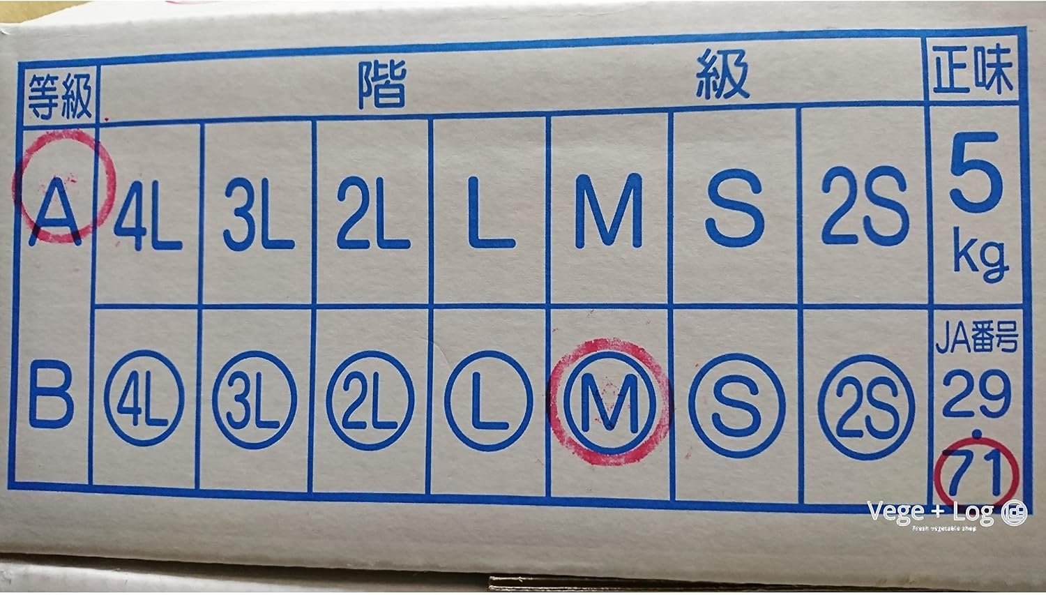 A品 約5kg ギフト用 贈答品質 大分県産 紅はるか 高糖度熟成さつまいも お歳暮 (Mサイズ 【Vandro】