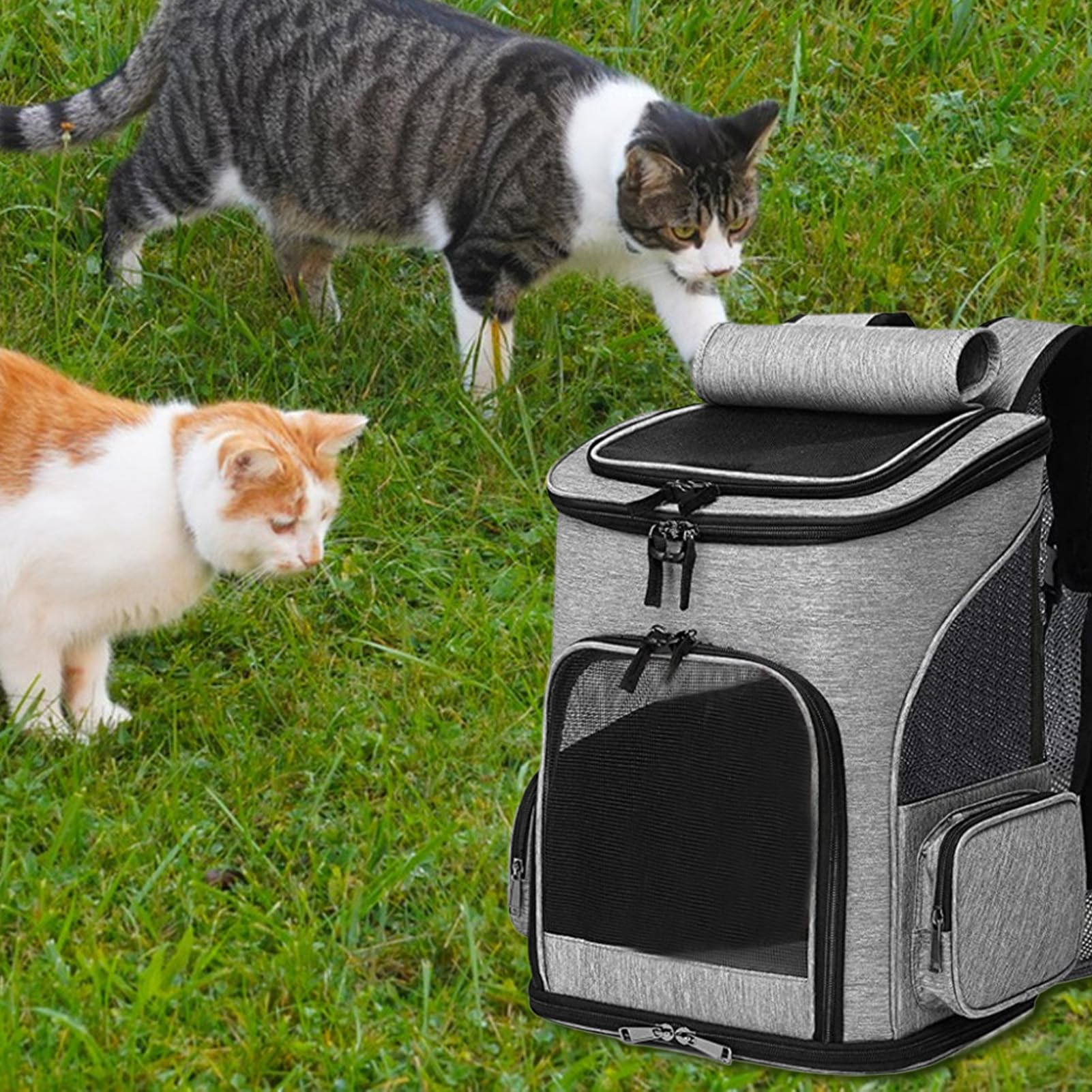 Weiche Tragetasche für Katzen, erweiterbare und faltbare Tasche für Katzen – für den täglichen Gebrauch, Nagelpflege, Wandern, Flug, Camping, Tiertransport