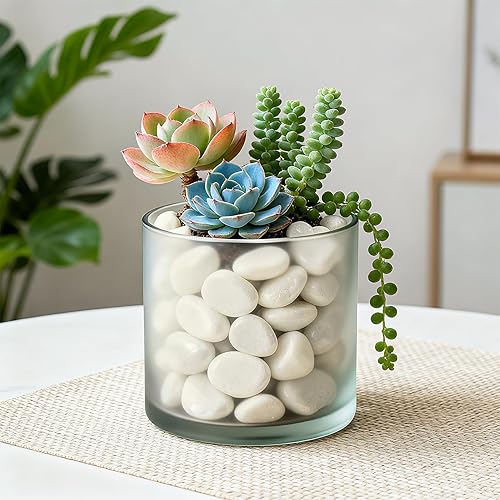 Miniatura 5 de onlyfire Piedras blancas pulidas de 5 libras, 38 a 1316 pulgadas, rocas de río decorativas naturales para acuario, piedras de grava para paisajismo,