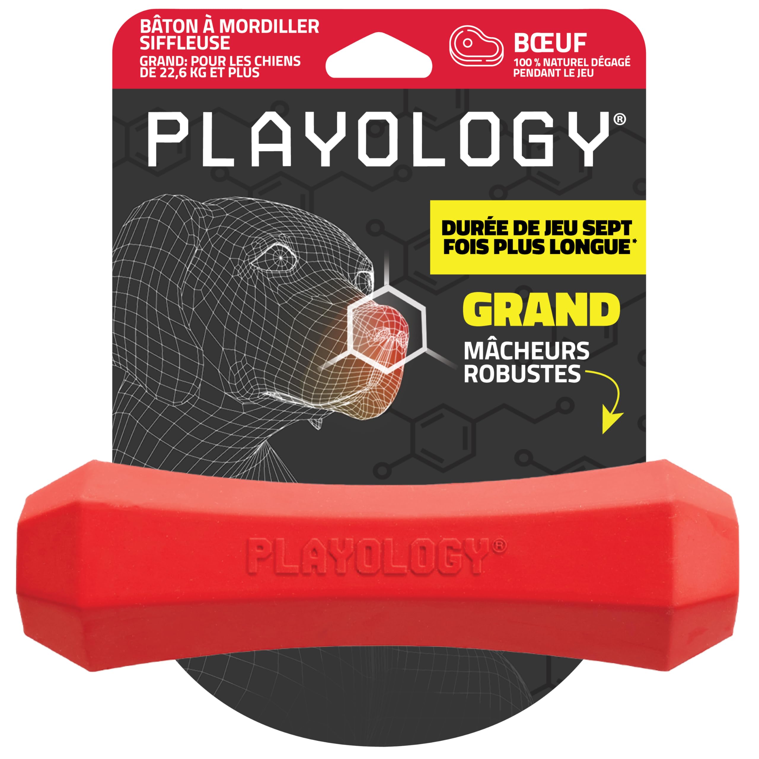 Jouets pour chiens bâton de mastication géant parfum bœuf pour intérieur et jardin