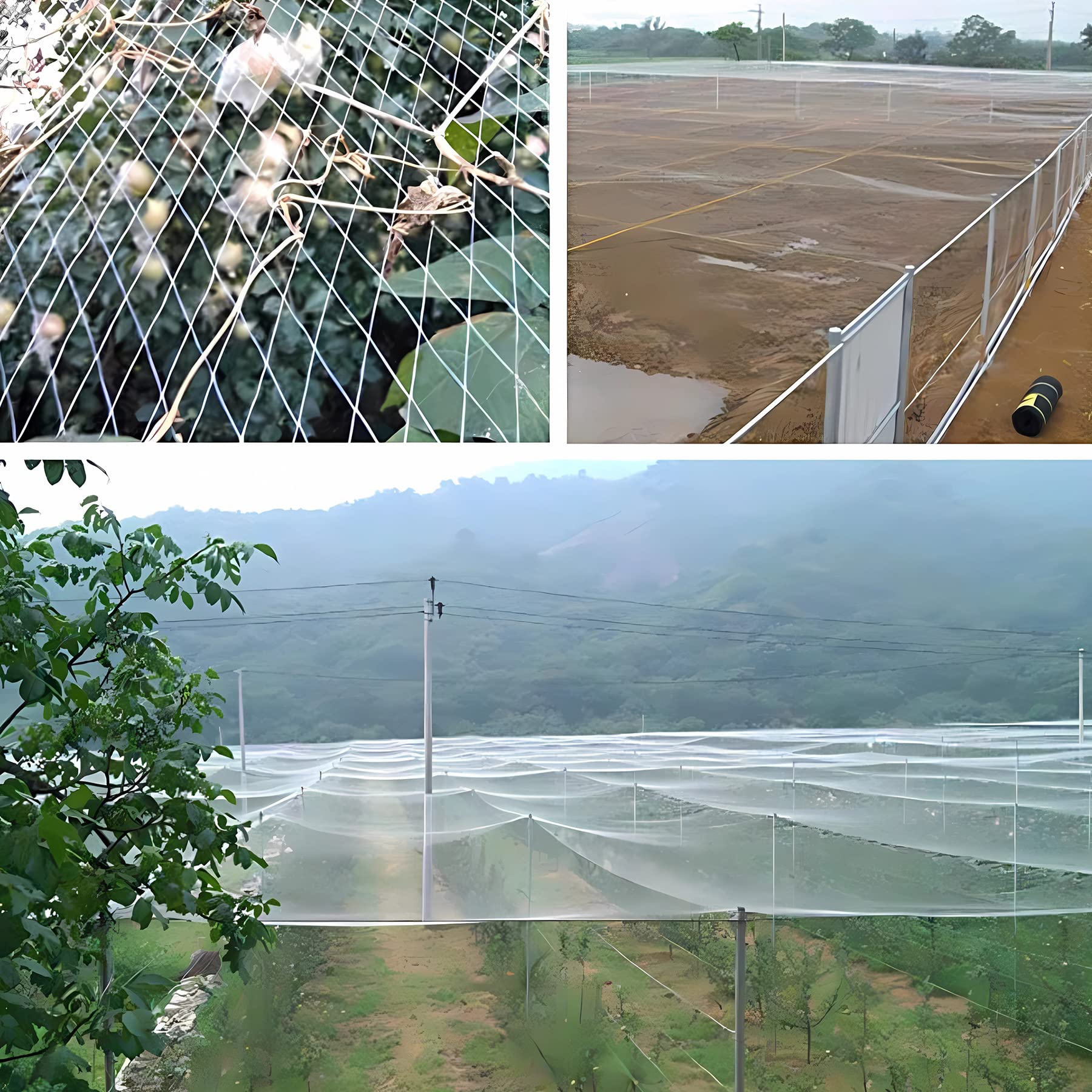 Rete per uccelli da giardino, rete anti-uccelli in nylon per stagno, protezione veterinaria, 7 m x 7 m, efficace deterrente per pioni, ideale per giardino, frutteto e colture
