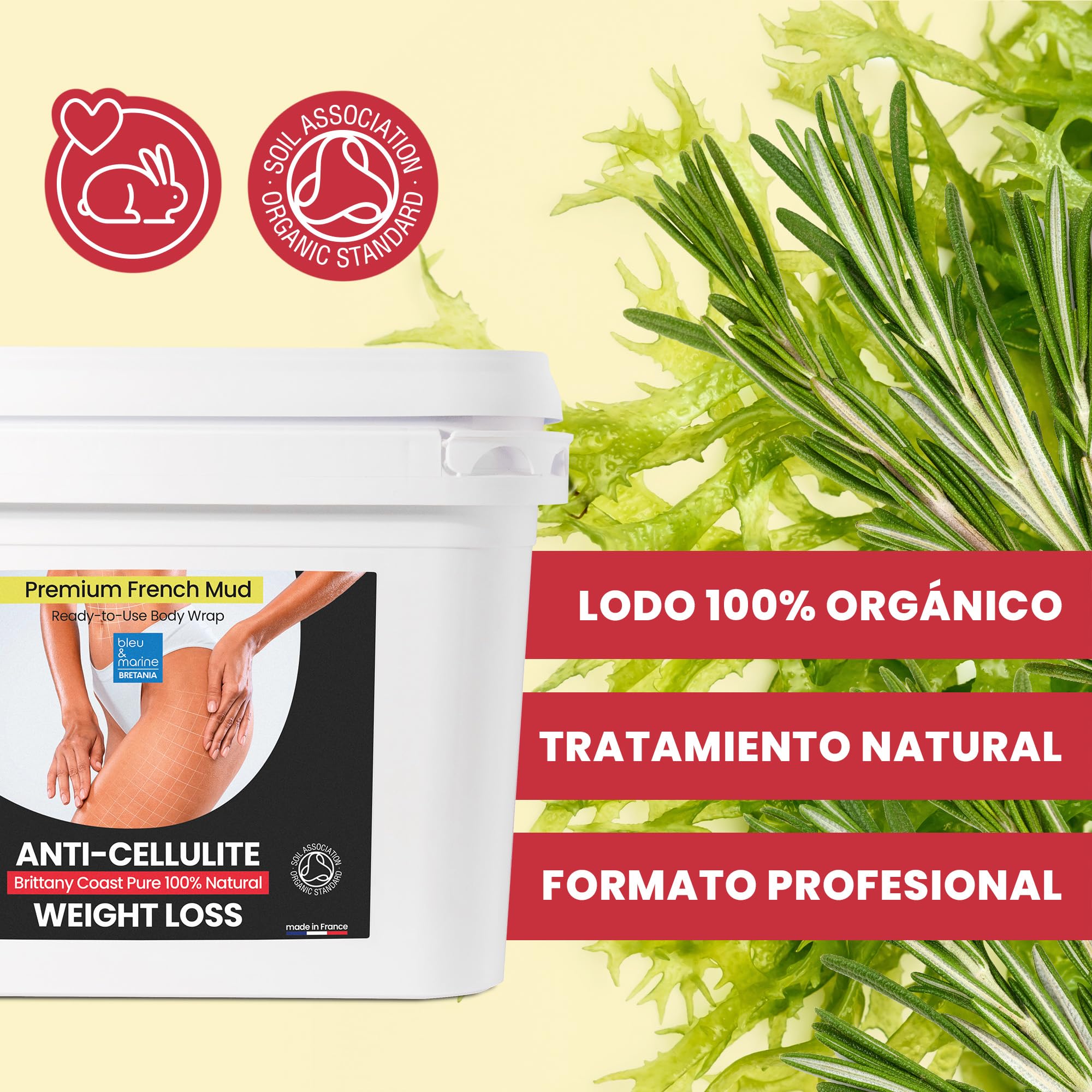 Barro de Algas Anticelulitico: Combate Celulitis y Flacidez Corporal. Efecto Reafirmante y Resultados Visibles. Fango Profesional SPA Tratamiento de Choque - Ready To Use - 6000 g 6 kg