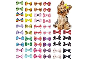 Chenkou Craft Small Dog Hair Clips For Girls