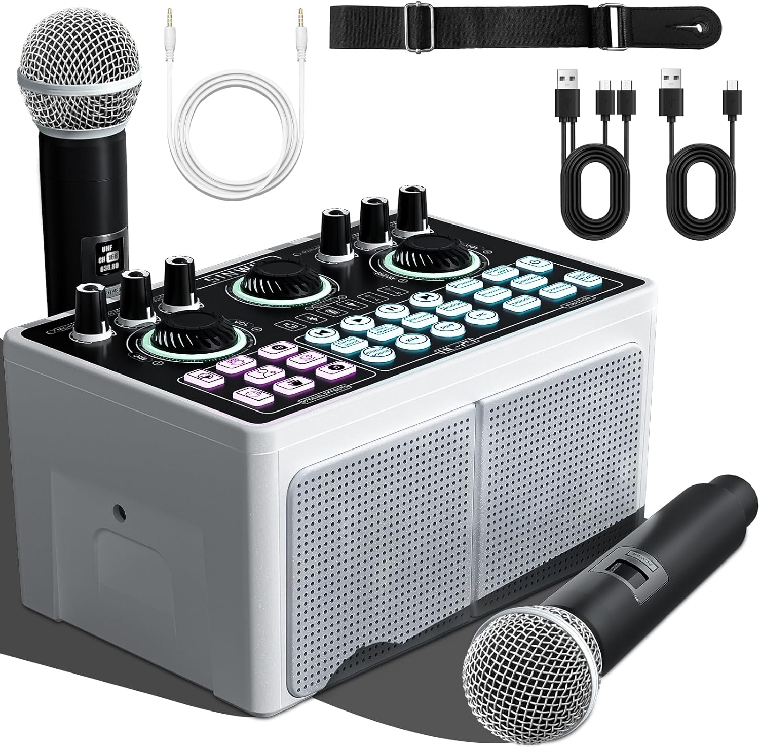 SINWE Karaoke Machine, Audio Interface Bluetooth Speaker AllinOne