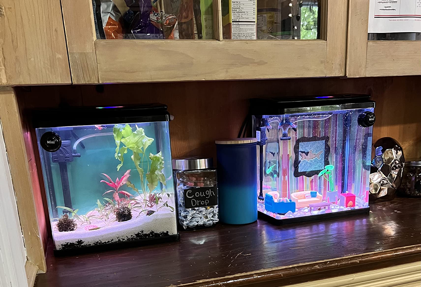 9/mo Finance PONDON 3 Gallon Fish Tank, Glass Aquarium Tank with