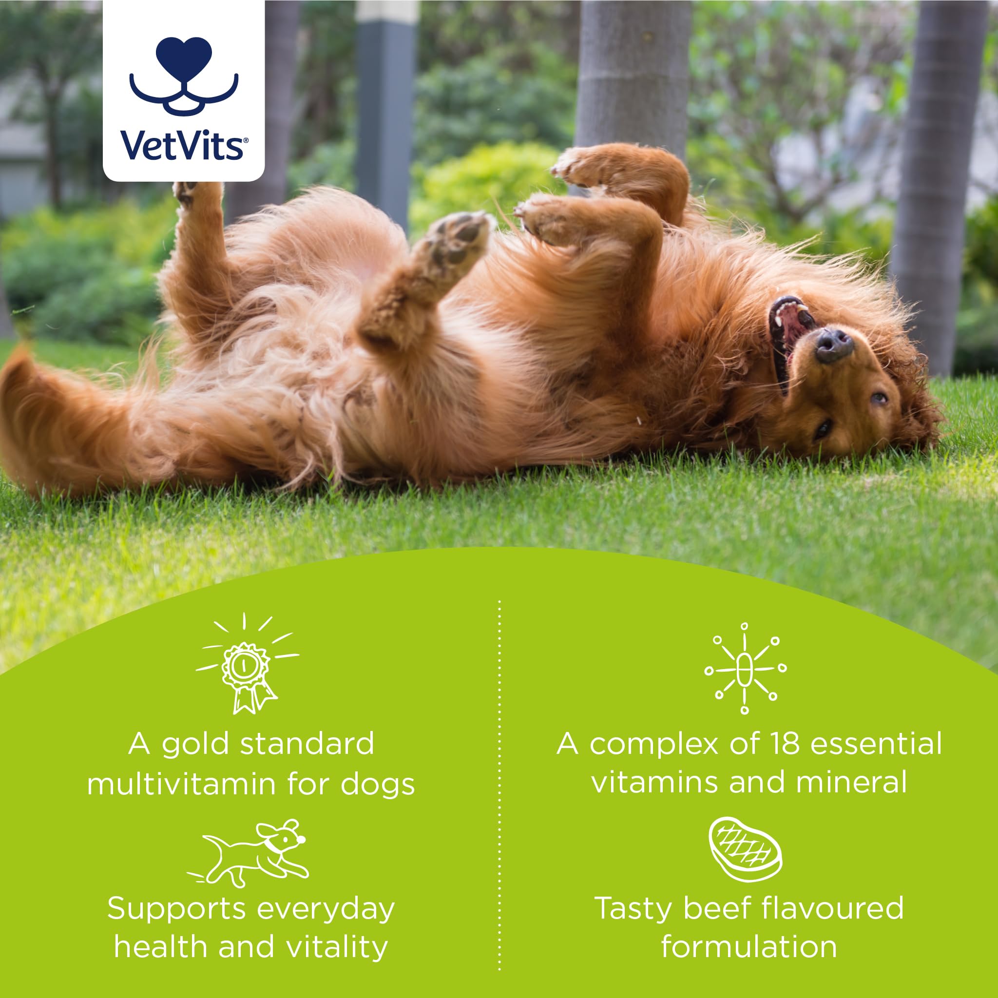 Vetvits Multivitamin for Dogs (120 Tablets) - Image 2