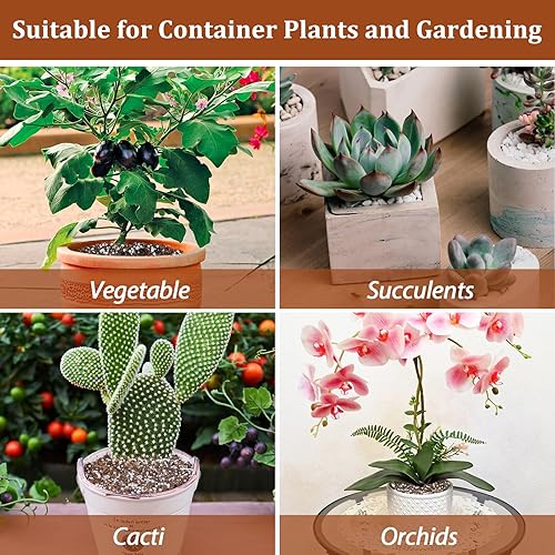 Miniatura 20 de Riare Perlita orgánica de 6 cuartos de galón para plantas - Enmienda de suelo hortícola para mezcla de macetas, acondicionador aditivo de suelo