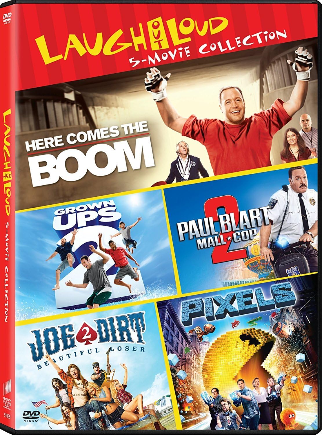 Grown Ups 2 / Here Comes the Boom / Joe Dirt 2: Beautiful Loser / Paul Blart: Mall Cop 2 / Pixels - Set [DVD]