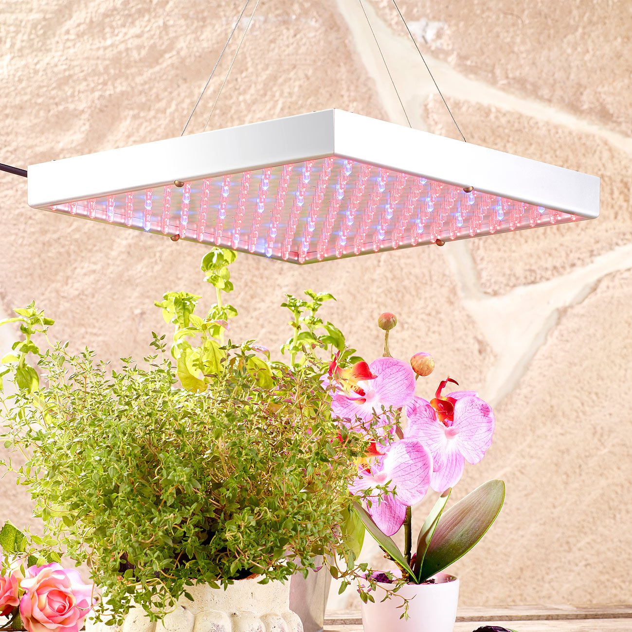 Lunartec Wachstumslampe: Profi LED-Pflanzen-Wachstums-Leuchtpanel mit 225 LEDs, 250 Lumen (Wachstumslampen für Pflanzen, Pflanzlampe, Grow)