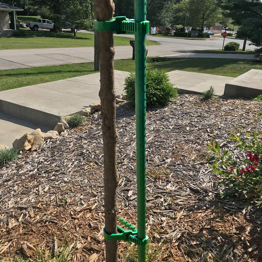 KAHEIGN 10 Pièces À Toute épreuve Attaches Végétales, 35cm Bretelles Ajustables Pour Arbres Liens Pour Plantes De Jardin Interlock Pour Le Support De Rosier Arbustif