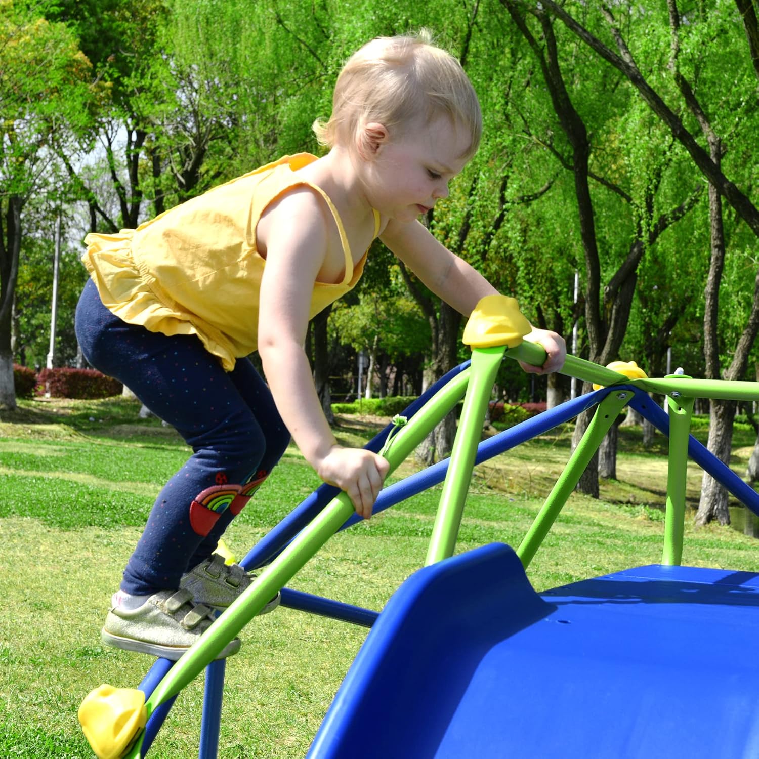 Buy Merax Climbing Dome with Slide, Indoor & Outdoor 6FT Dome Climber