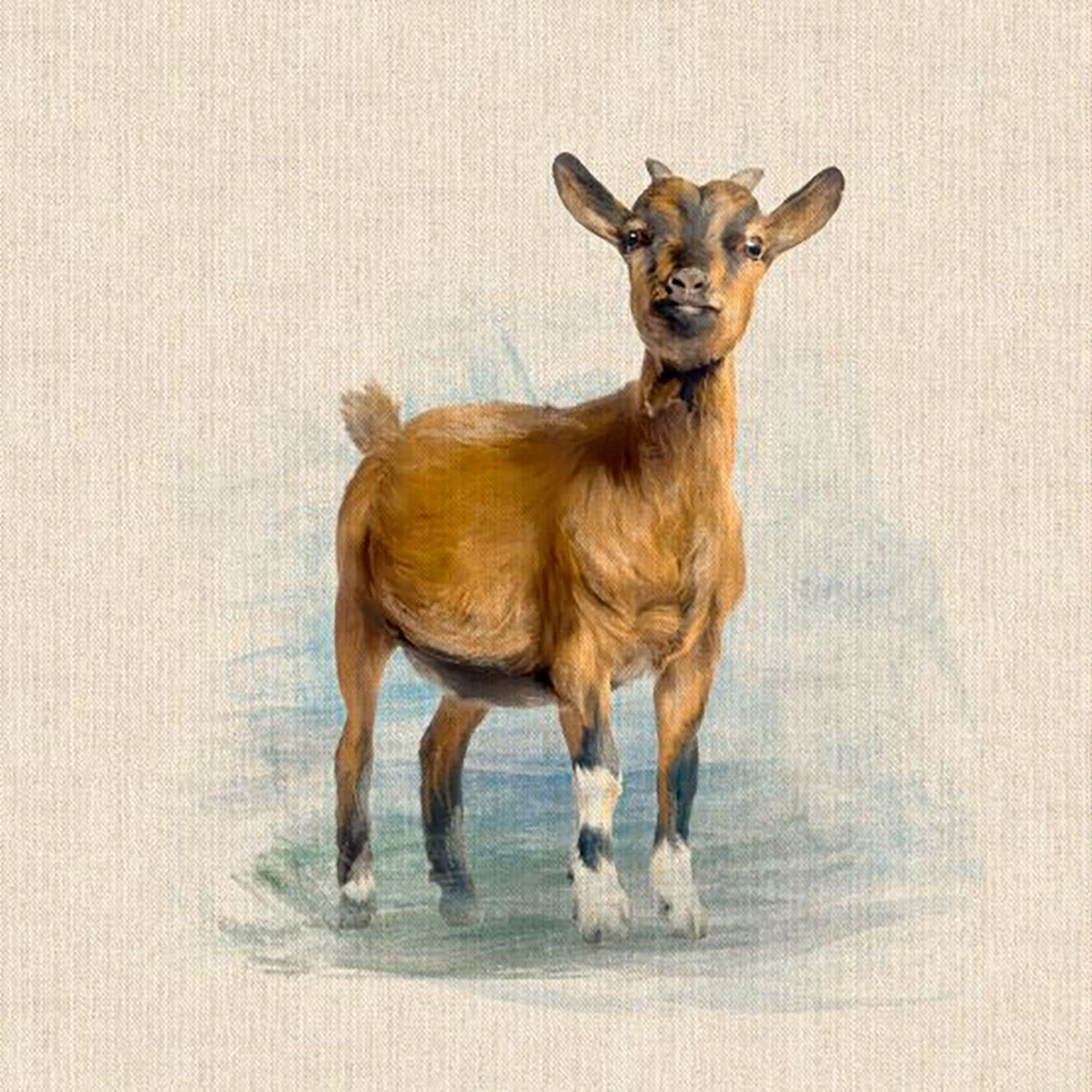 Discover Lifestyle & Fashion Fabrics Goat Watercolour Animals Digital Print Design Cotton Rich Linen Look Fabric For Bunting Blinds Craft Quilting Patchwork & Upholstery | Sold Per Panel (Goat)
