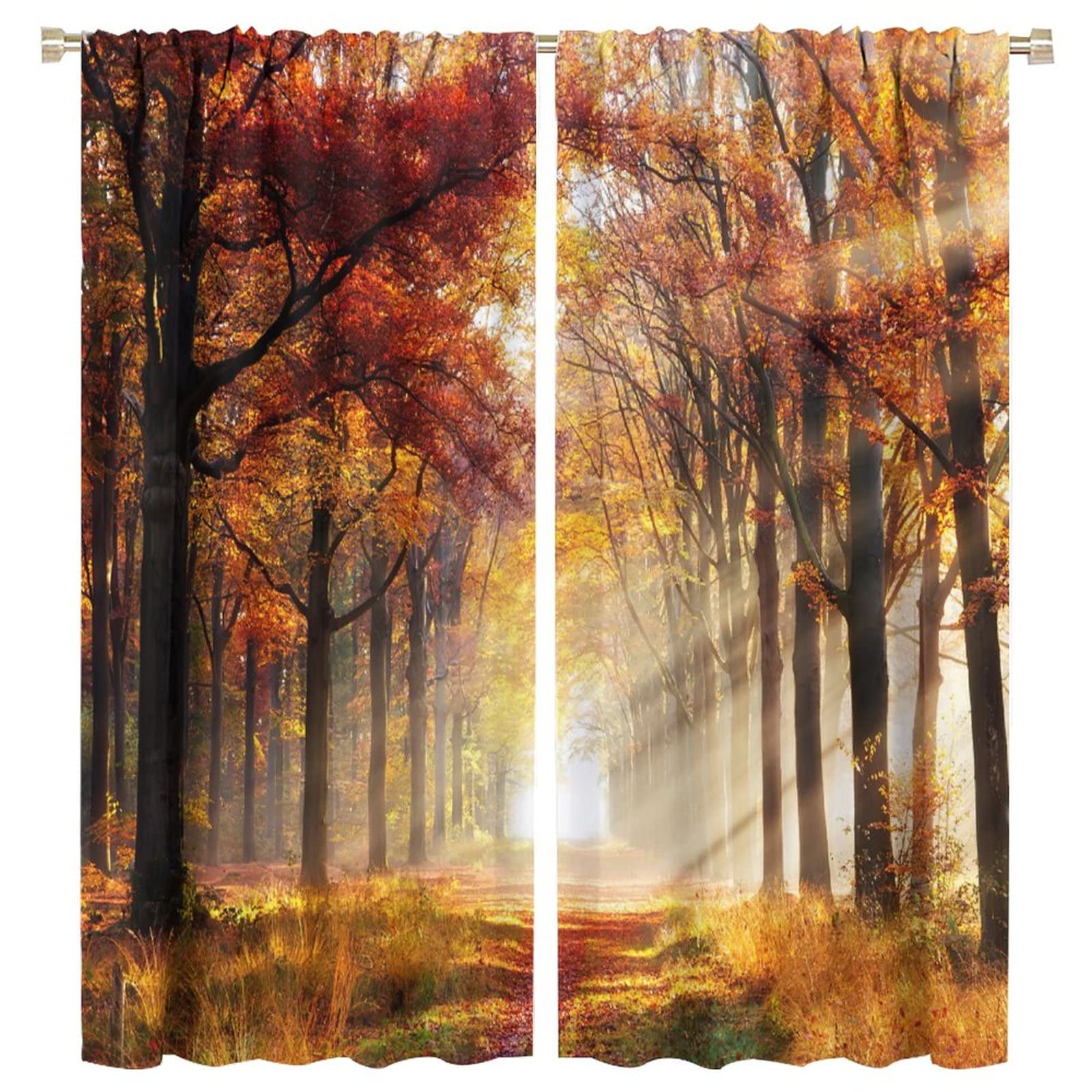 JESTRONRY Nature Kitchen Curtains,Country Forest Trees Sunshine Autumn Scenery,Living Room Bedroom Rod Pocket Window Drapes 2 Panel Set W63xL72in