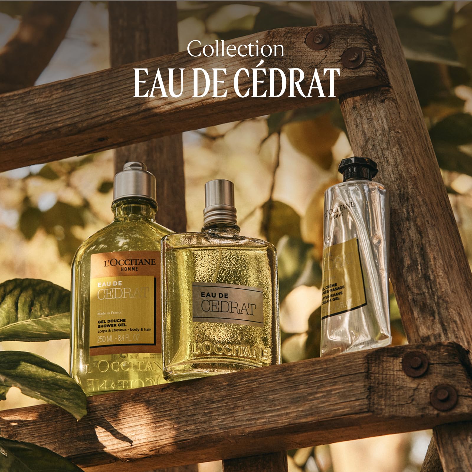 L'OCCITANE - Gel Crème Après-Rasage Eau de Cedrat - 75 ml - Fabriqué en France