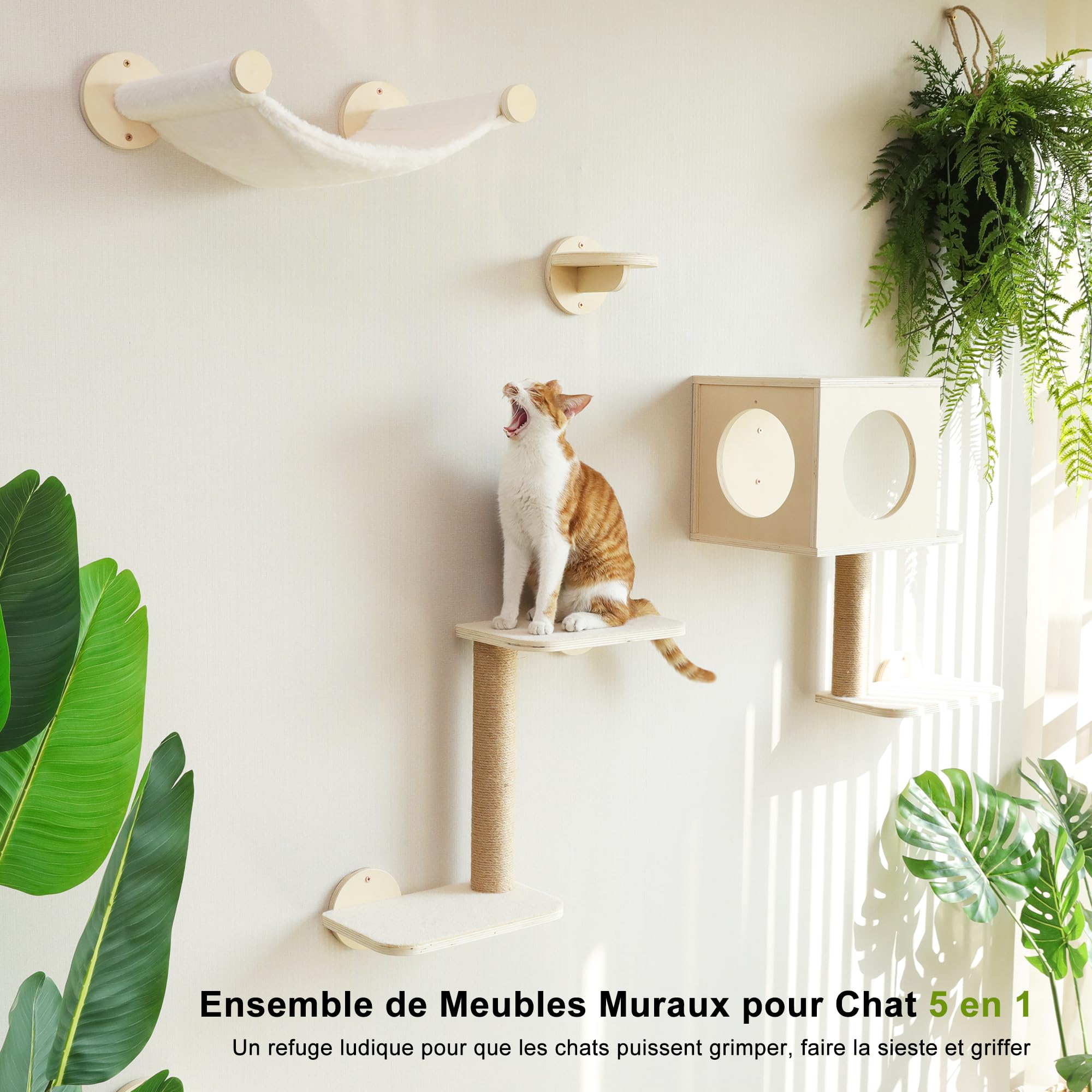 FUKUMARU Étagères Murales pour Chat, Set de 5 Meubles Muraux, Grimpeur en Bois Stable avec Hamac, Maison, Marches et Poteau à Griffer, Beige