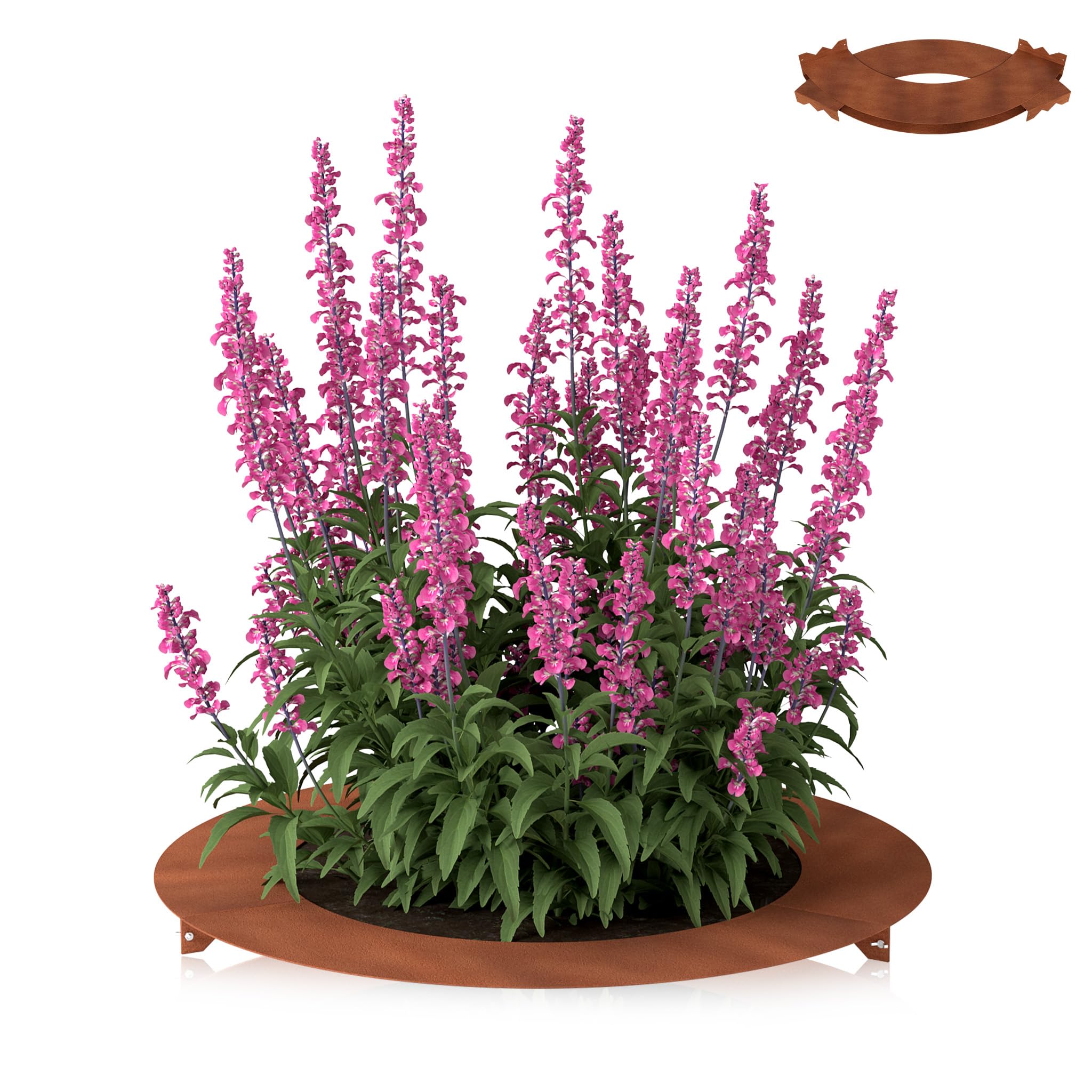 UISEBRT Anneau plat - Bordure de pelouse - En acier Corten résistant aux intempéries - Bord de tonte pour arbres et arbustes - Protection des racines - Diamètre : 60/90 cm