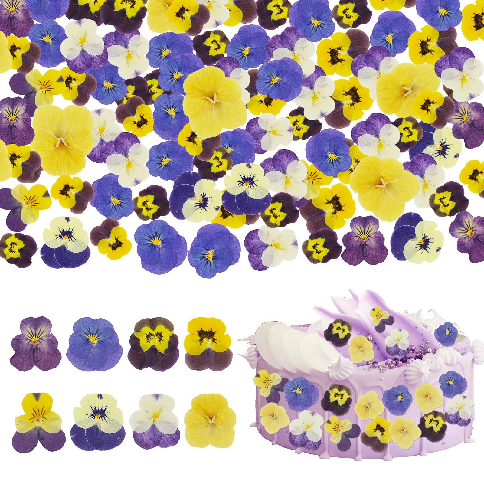 96 Pcs Natural Dried Pressed Mix Viola Tricolor Flowers, 8 Varieties of Pansy Dried Flowers for Decorating Cake, Cupcake, Cocktail Garnish, Crafting Resin Jewellery, and DIY Crafts (Colour One)