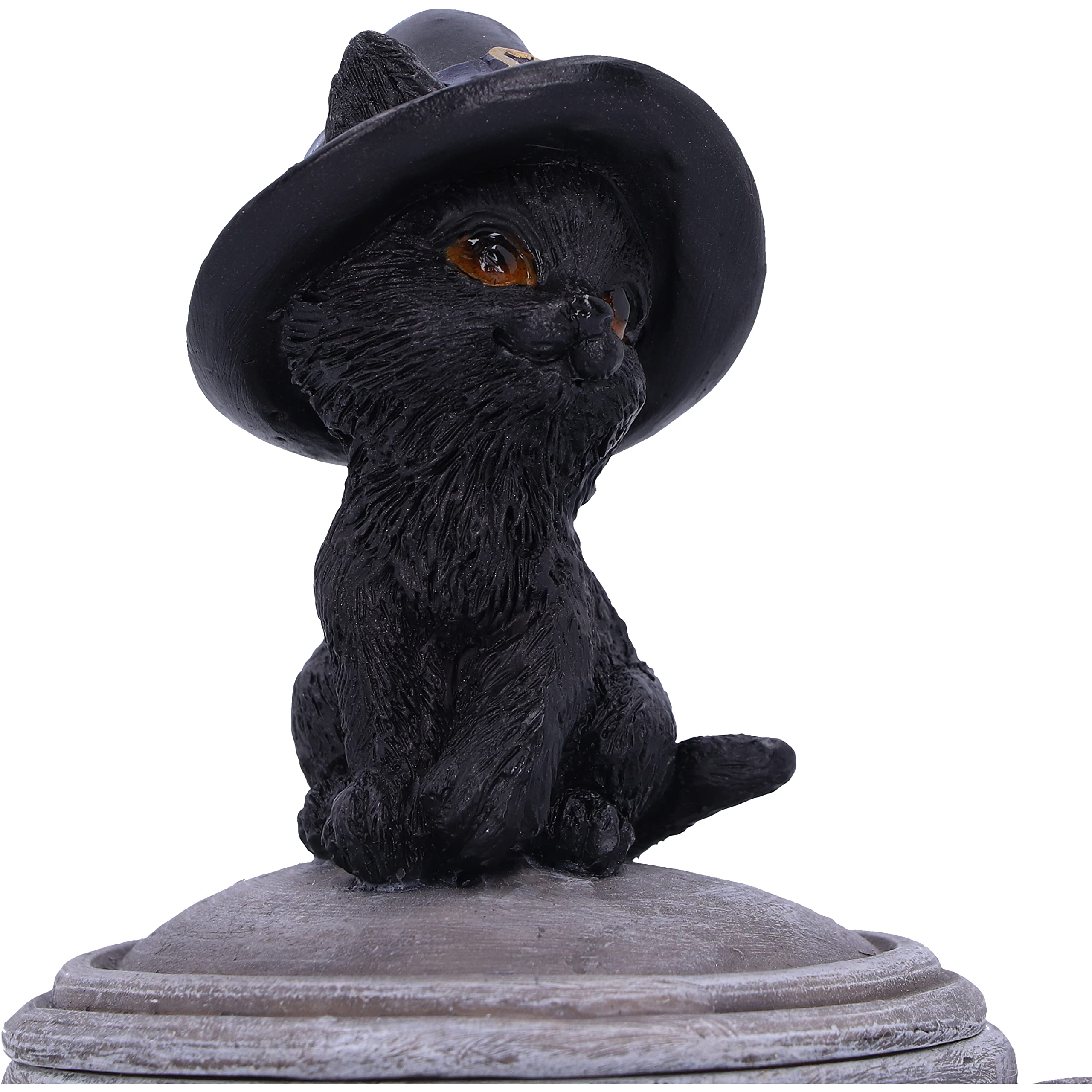Nemesis Now Kitty's Brew Unisex Contenitore standard poliresina