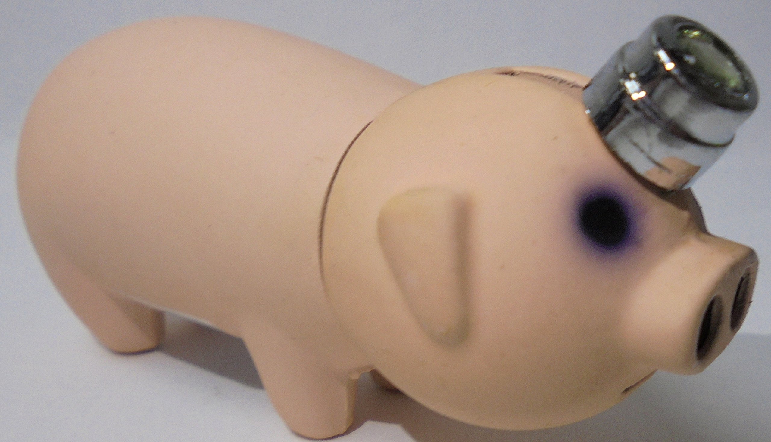 Amazon.com: 6 Eclipse Pig Novelty Lighter, 2 Colors, Refillable