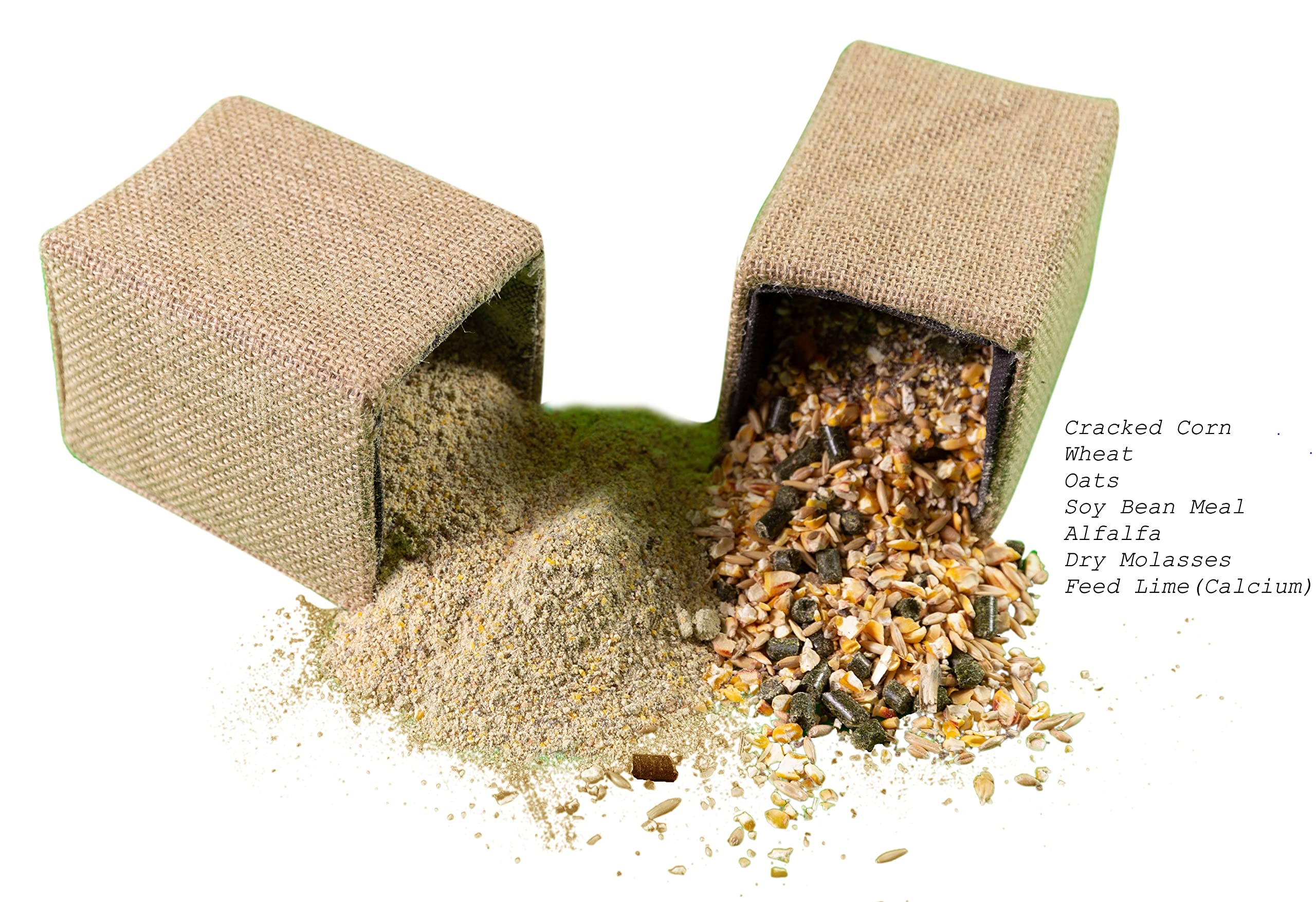 Cricket Colony Starter Kit for Feeder Crickets 5Egg Flats