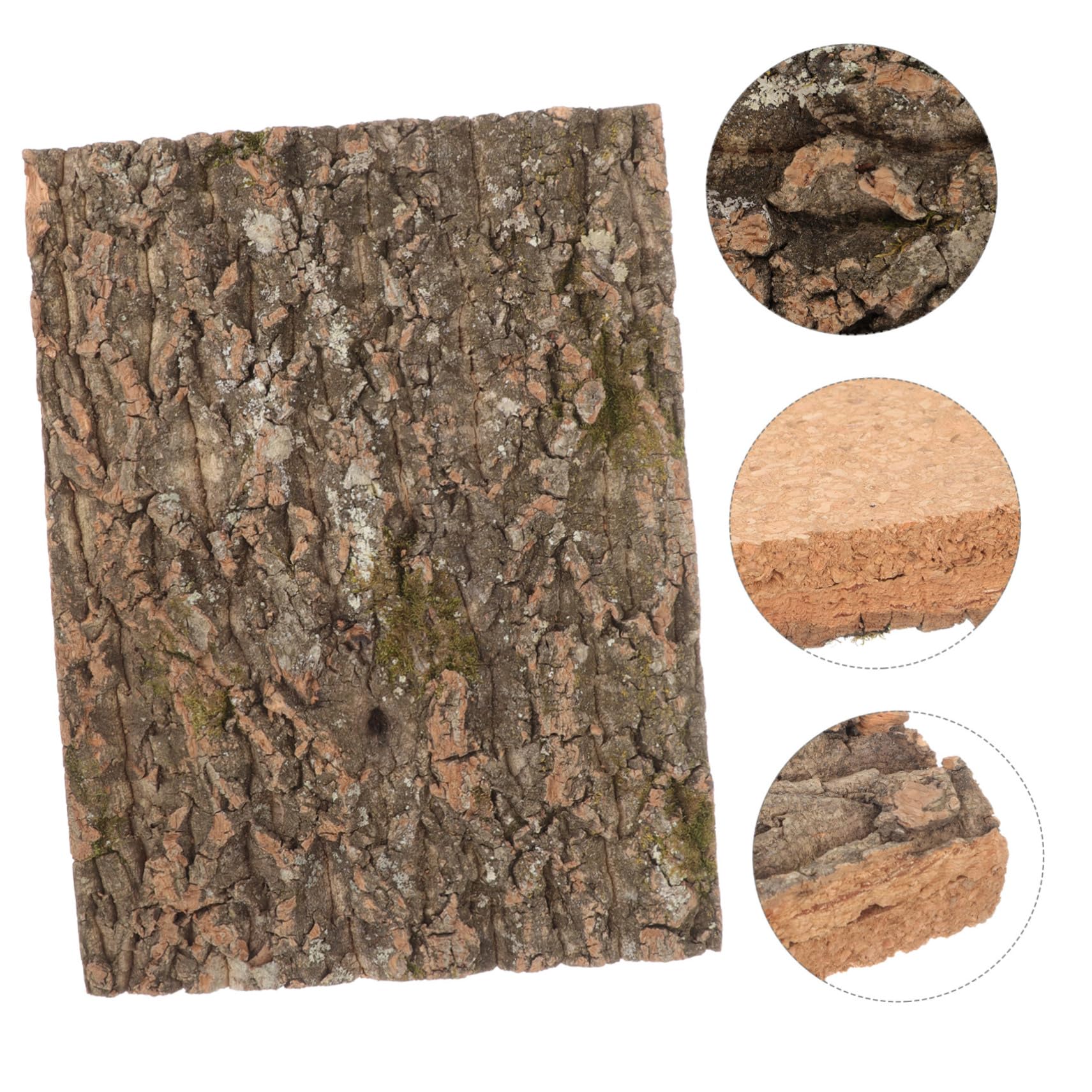 UPKOCH Corteza De Corcho para Reptiles Diseño Natural, Plataforma para Lagartos y Fondo Decorativo para Acuarios De Reptiles En Hábitat Simulado