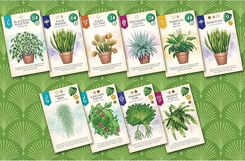 Miniatura 3 de AEG & Flatout Games | Verdant - Un juego de mesa para el coleccionista de plantas de interior | De los creadores de Cascadia | Fácil de aprender |