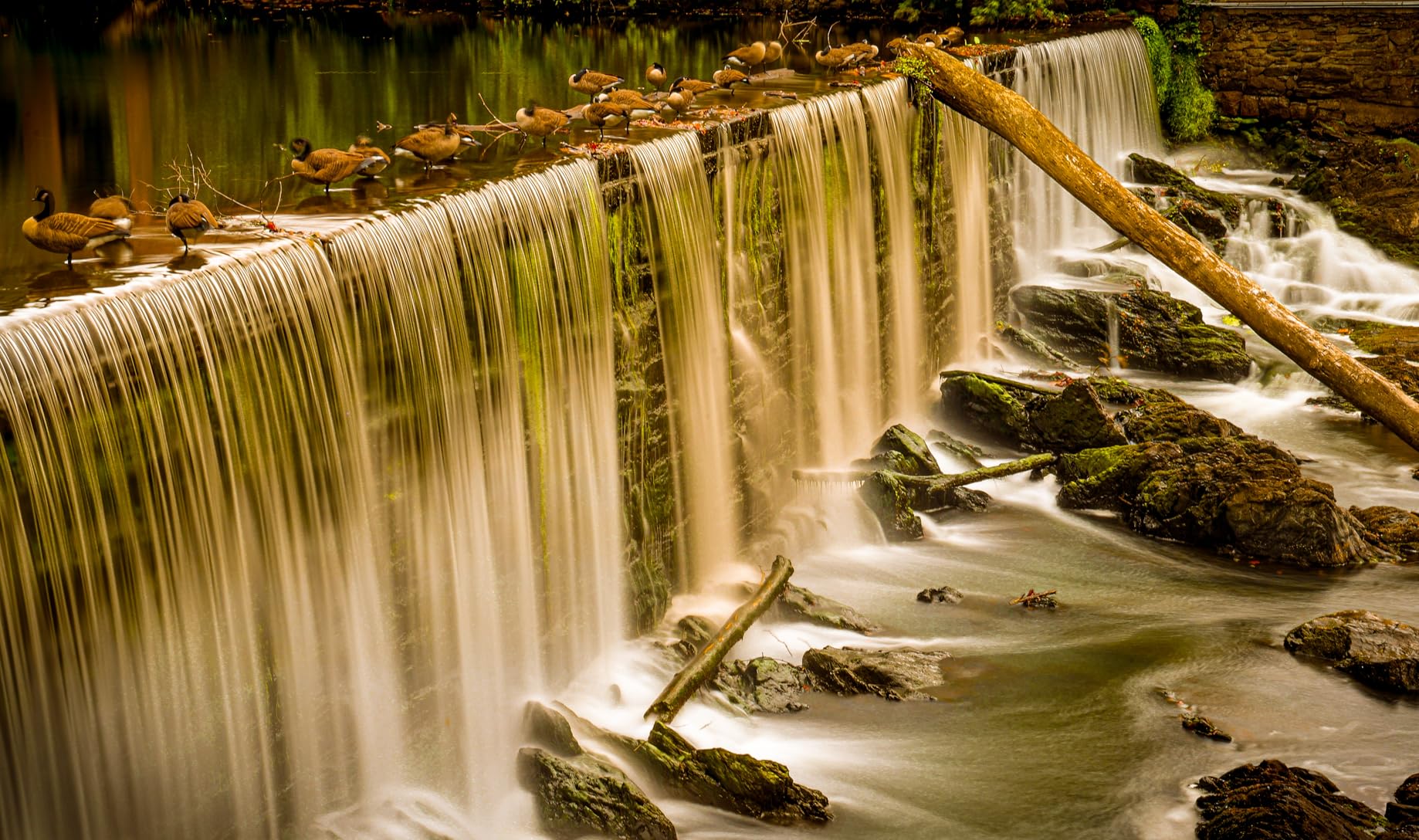 Benut de kracht van het licht – beheers beweging, controleer de tijd.