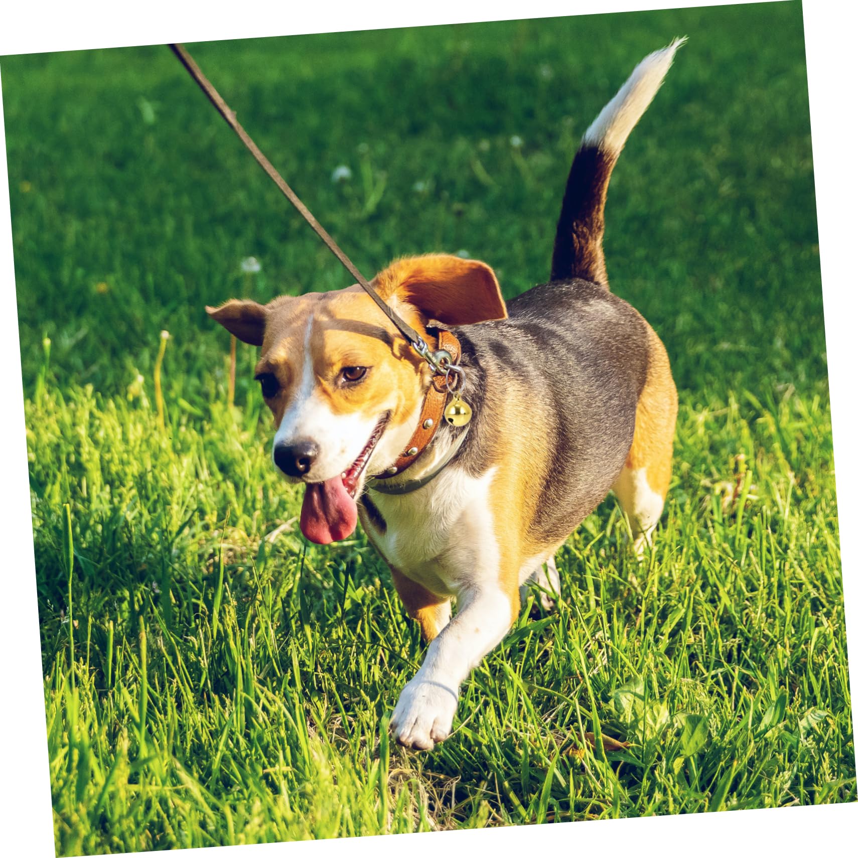 VANZACK 24pcs Dog Bells for Cats Decorative Collar Bells Replaceable Material Crisp Ring Tone