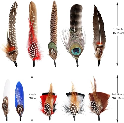 Miniatura 4 de Plumas de sombrero 10 estilos surtidos para sombreros Fedora, accesorios coloridos de plumas reales para hombres y mujeres