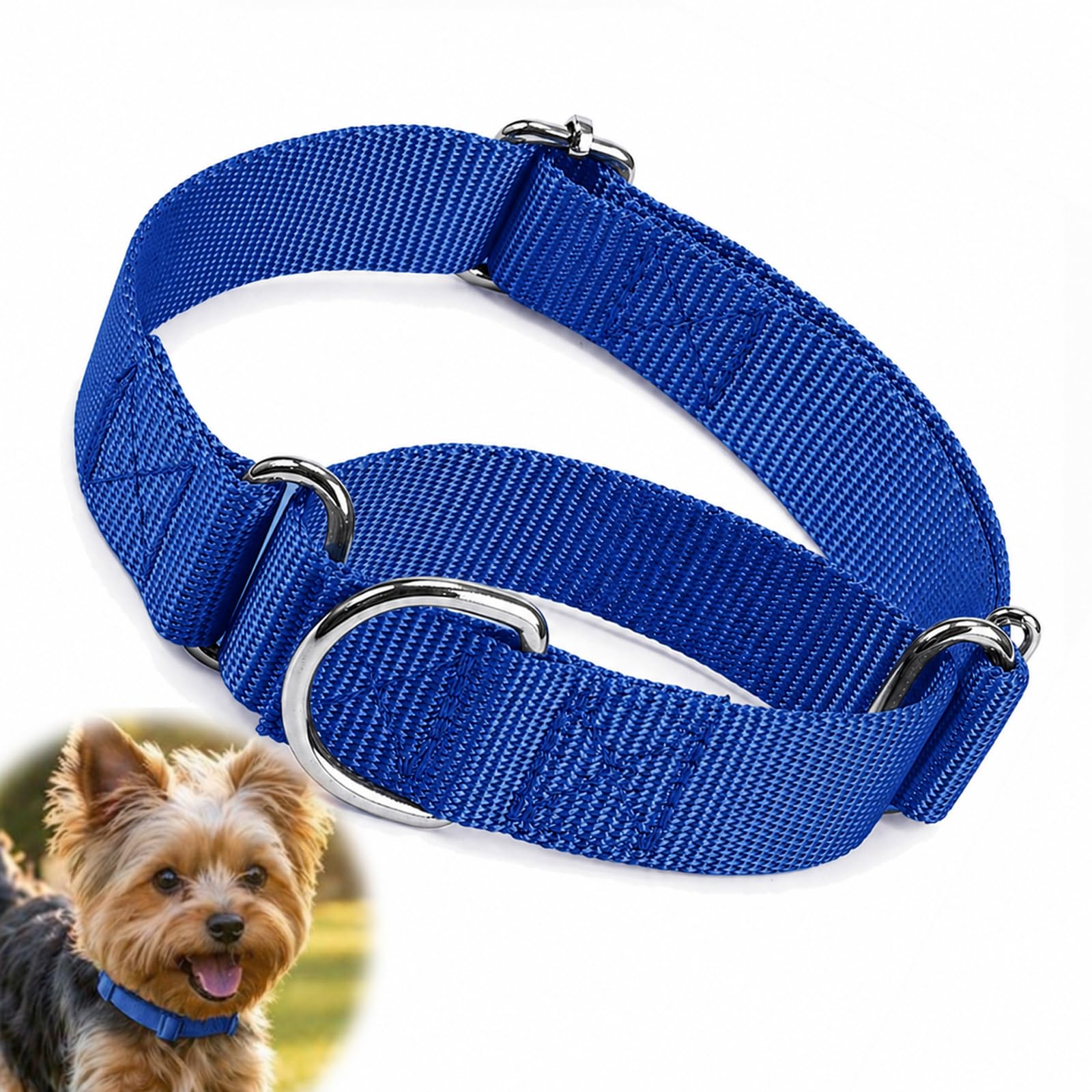 Durable Nylon Slip Choke Collar for Small & Medium Dogs - Lightweight Anti-Slip Design, Adjustable Fit for Walks & Training, Multiple Colours, Neck Size 7.9–15.7 Inches, Cross-Stitch Reinforcement