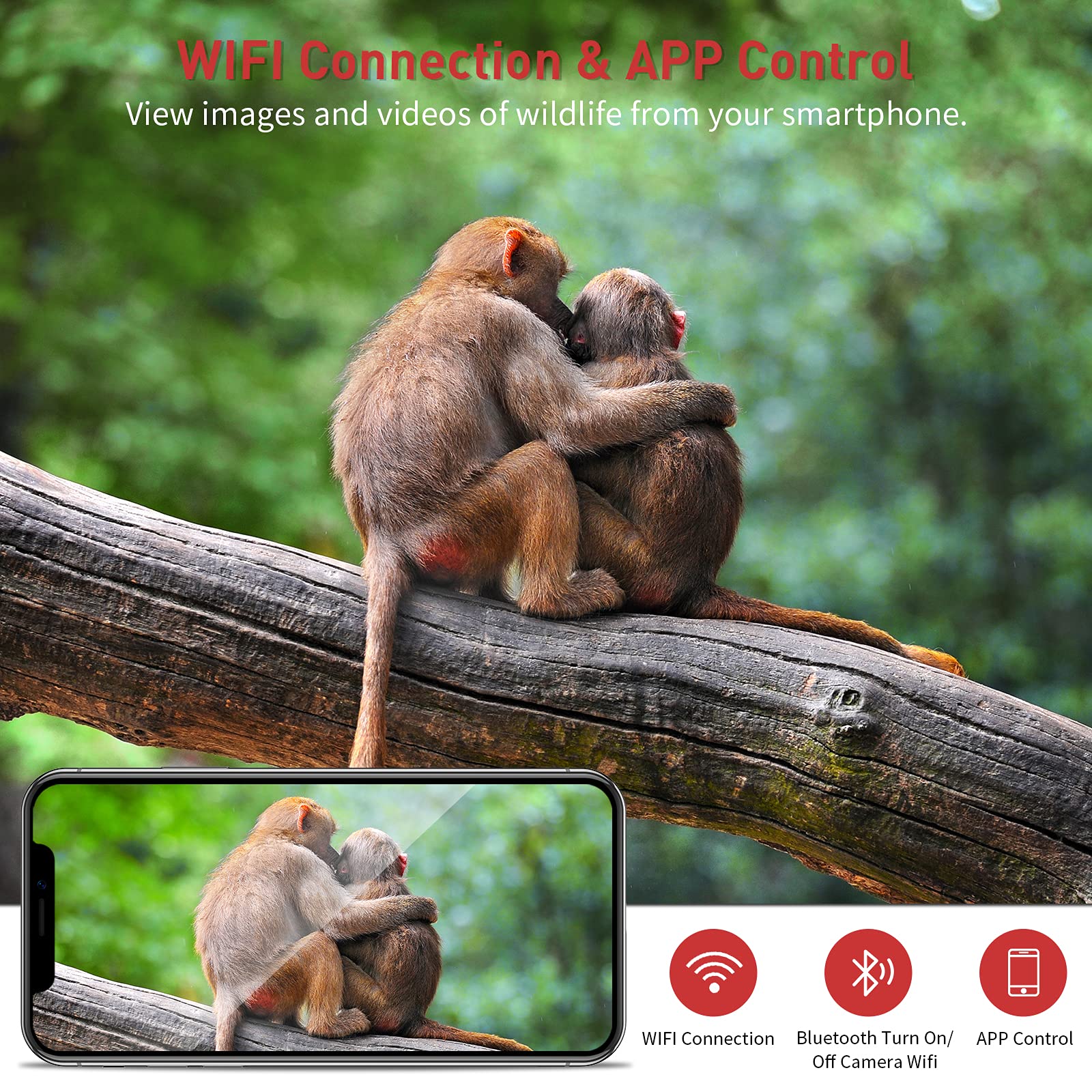 VANBAR Trail Camera with smartphone showing baboons, illustrating WiFi and app control