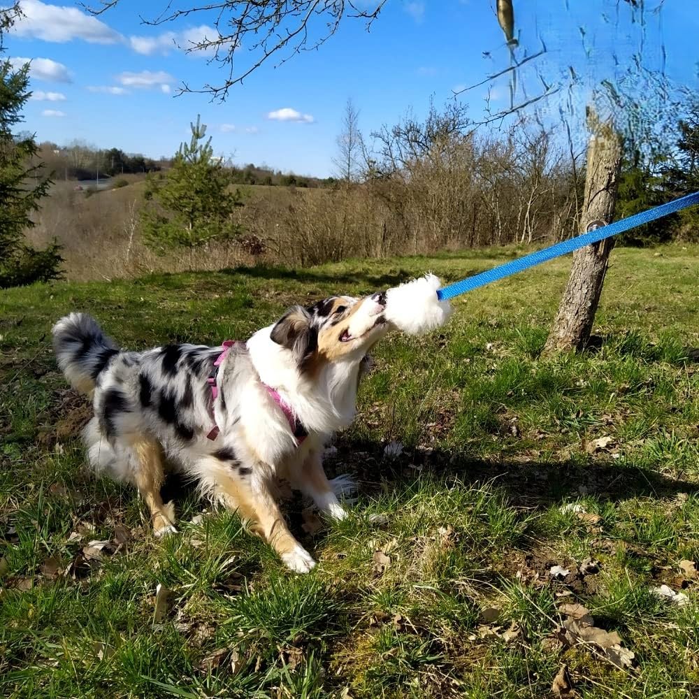 Dingo Hundespielzeug aus Lammfell mit Griff, Blau | Echtes Lammfell, Apportieren, Zerrspielzeug, Training, Griff 15583