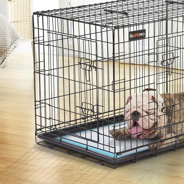Foto 7 de 8 de FEANDREA 100 Almohadillas para Perros, 90 x 60 cm, Superficie de Secado Rápido, Transpirables