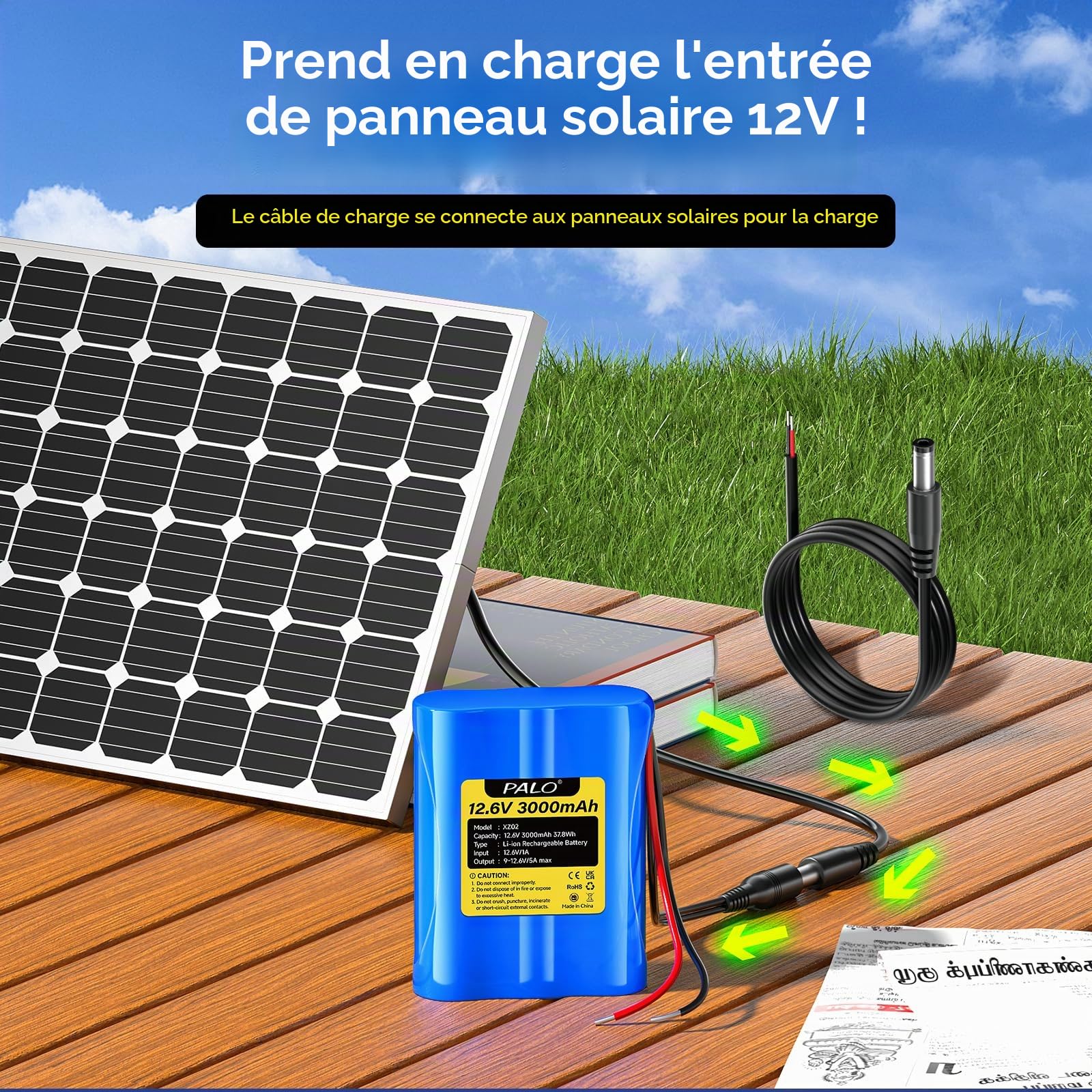 Batterie Lithium-ION 12,6 V 3000 mAh avec Chargeur et 2 Lignes de Connexion pour Panneau Solaire, Radio, appareils Photo, caméscopes, Orgue électronique, Lampe de Lecture DIY, Sonar